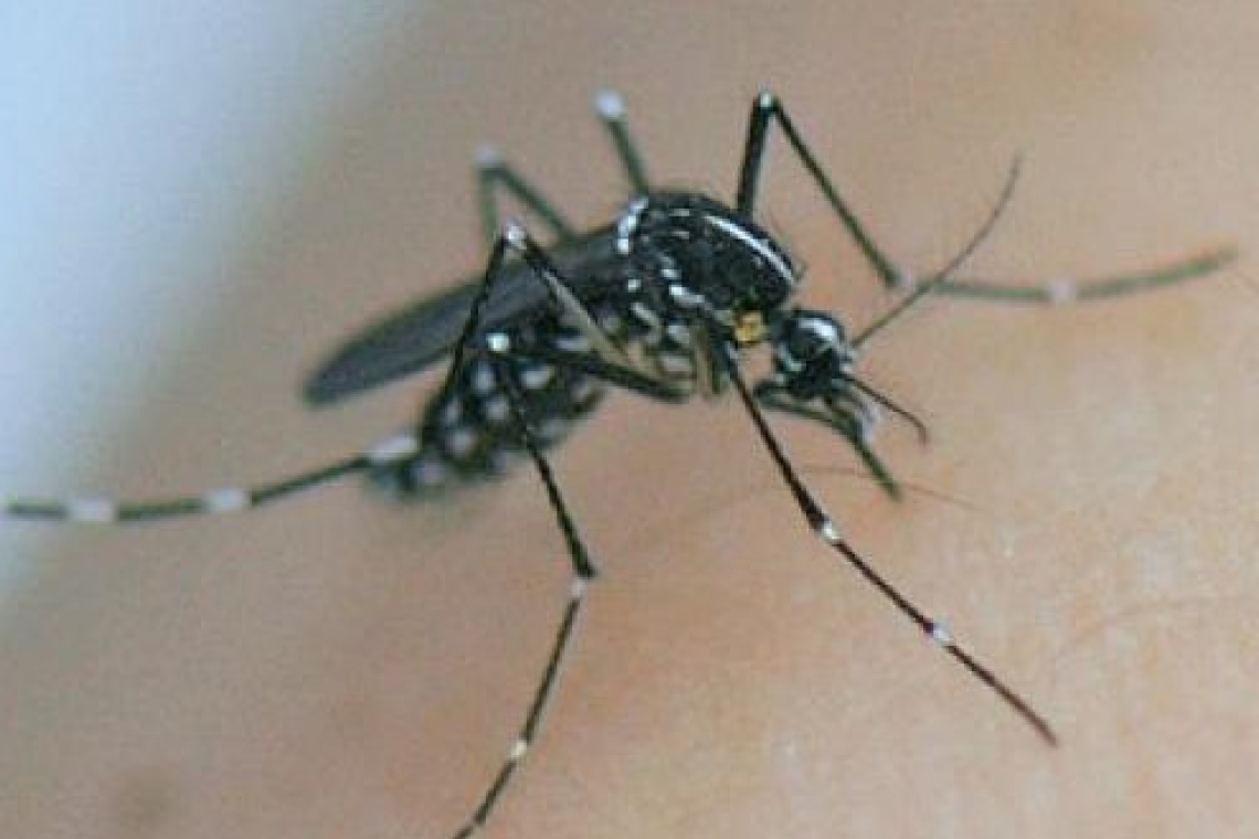 La dengue fait plus de 350 morts en un mois au Burkina Faso
